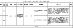 重庆汉丰文化产业有限公司关于公开考核招聘专业人员简章