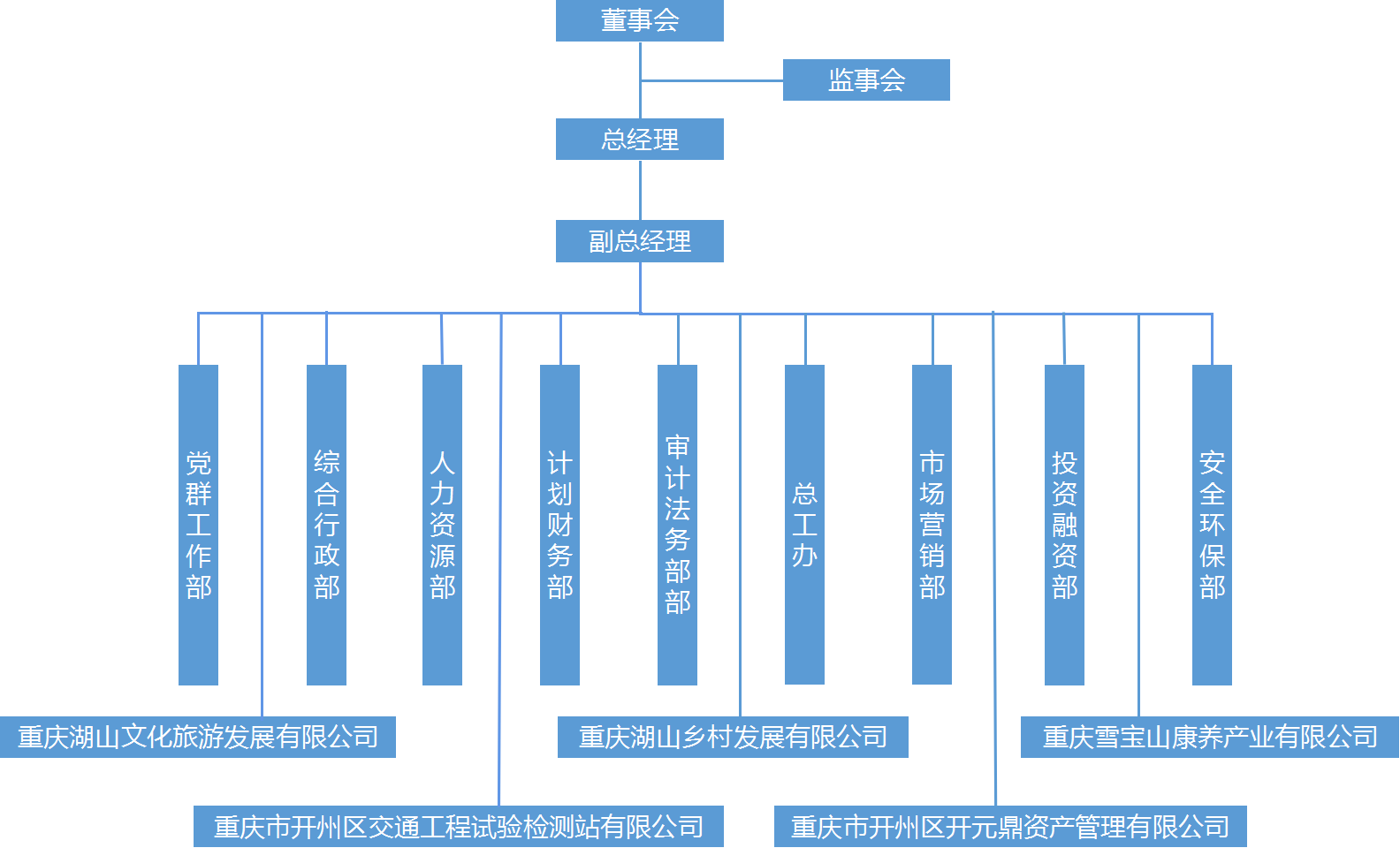 重庆湖山投资集团有限公司组织架构(图1)